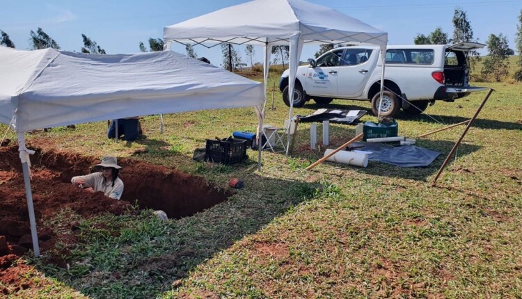 Ações de campo incluem escavações em propriedades rurais. Foto: Divulgação/Embrapa