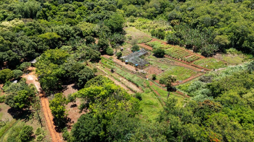 Vista área da horta da Laíde