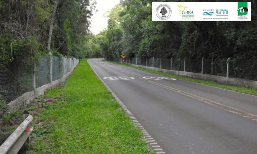 Exemplo de trecho delimitado com cercas nos arredores do acesso às Cataratas. 