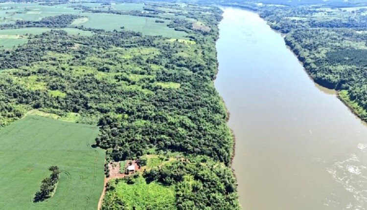 Reconhecimento da área foi feito do ar pelos antidrogas do Paraguai.