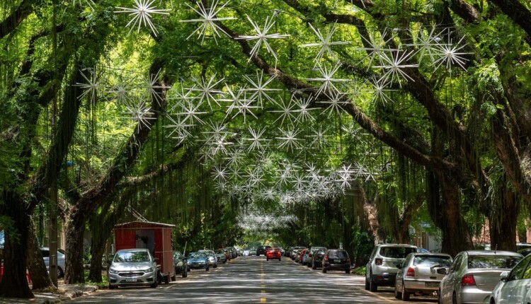 Decoração na Avenida Pedro Basso ficará disponível até a primeira semana de janeiro.