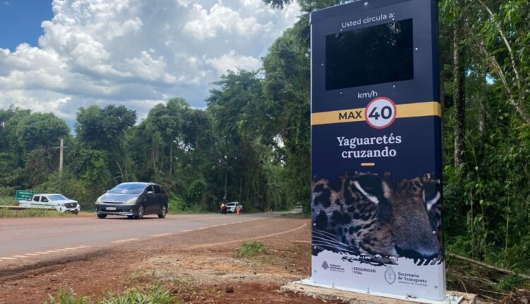 Tótens instalados na Argentina avisam sobre a travessia de onças.