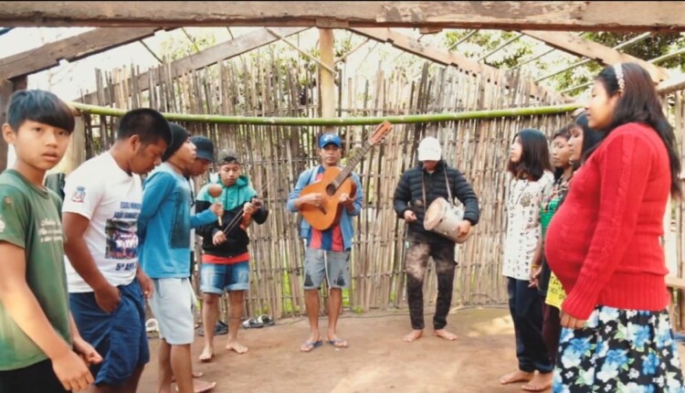 Programação do cinema itinerante inclui filmes com temáticas agroecológicas e de sustentabilidade.