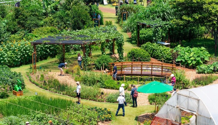 Vitrine Técnica de Agroecologia é montada por Itaipu, todos os anos, no Show Rural Coopavel, em Cascavel.