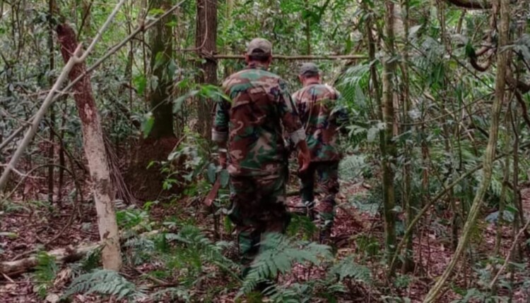 Província de Misiones tem a maior biodiversidade da Argentina.