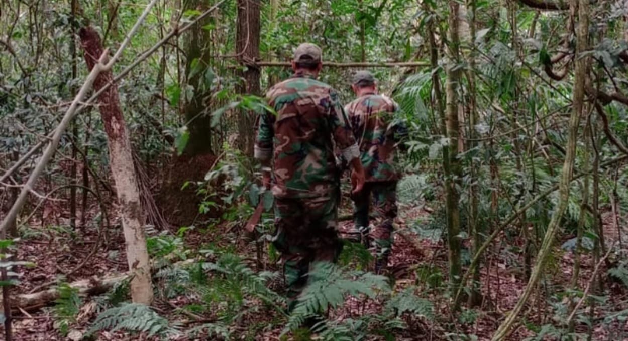 Província de Misiones tem a maior biodiversidade da Argentina.