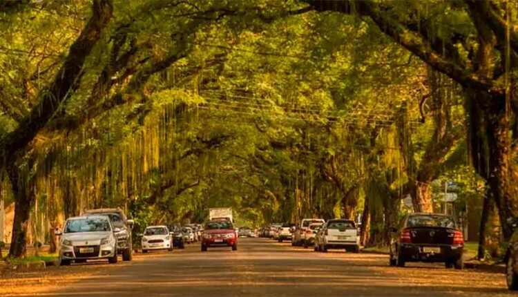 Avenida Pedro Basso - Foz do Iguaçu