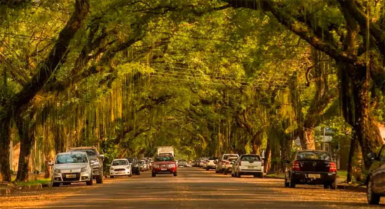 Avenida Pedro Basso - Foz do Iguaçu