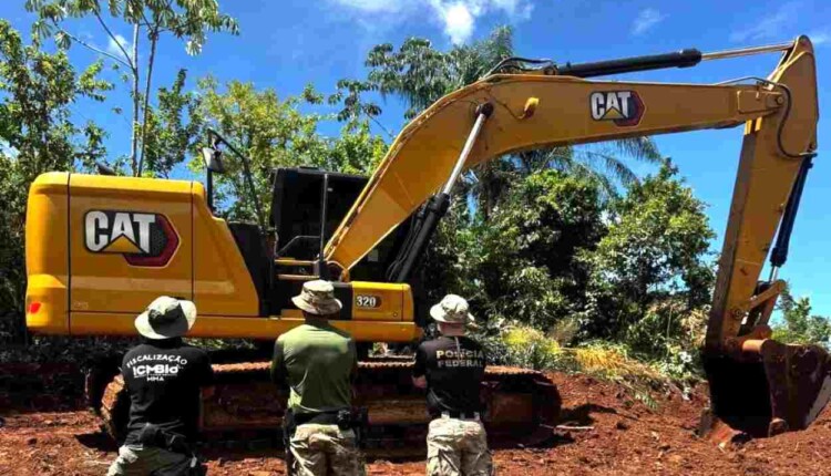 Operação flagra desmatamento em área de proteção perto do PNI