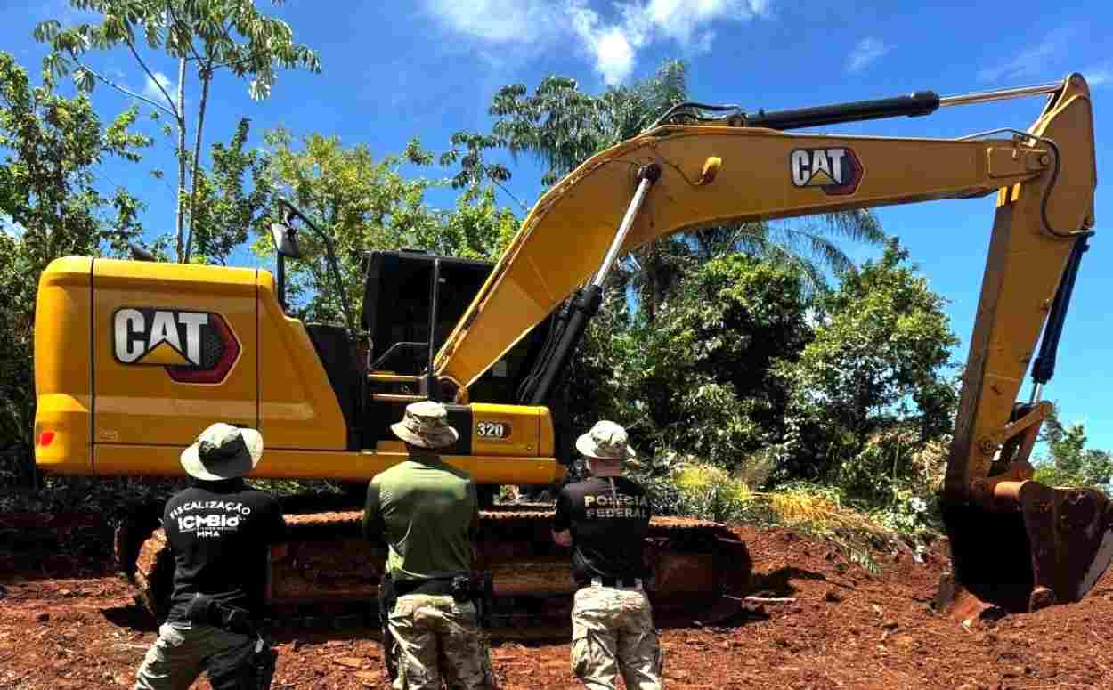 Operação flagra desmatamento em área de proteção perto do PNI