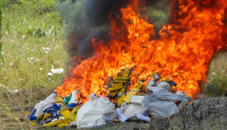 Paraguai destrói 400 quilos de cocaína que iriam para a Europa