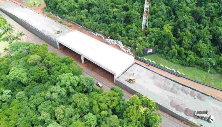 rodovia-das-cataratas-medicao-revitalizacao