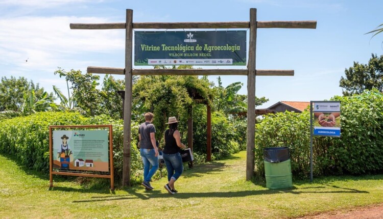 Vitrine agroecológica é um dos espaços mantidos por Itaipu no Show Rural.