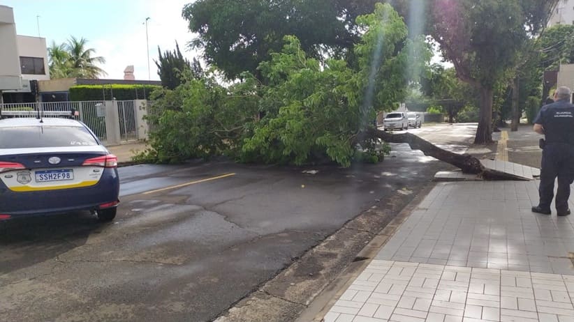 Concessionárias atuaram para a desobstrução das vias bloqueadas pela queda de árvores. 