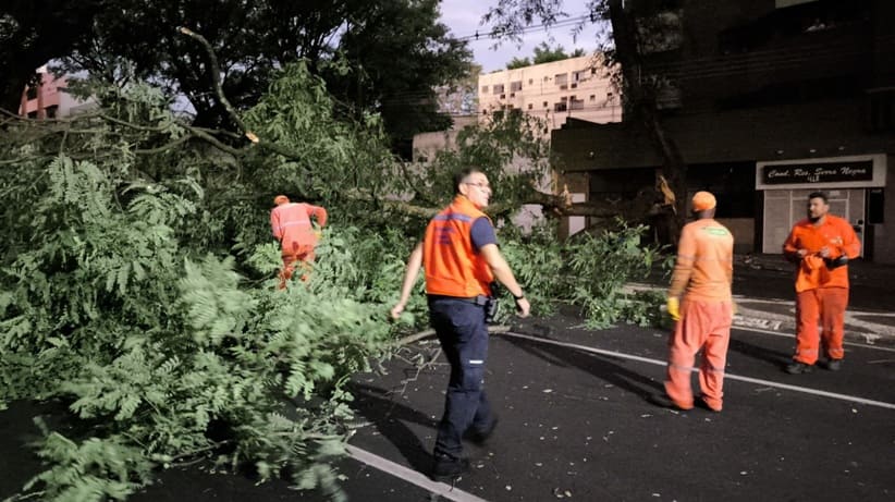 De acordo com a Defesa Civil, pelo menos 11 árvores caíram em Foz do Iguaçu.