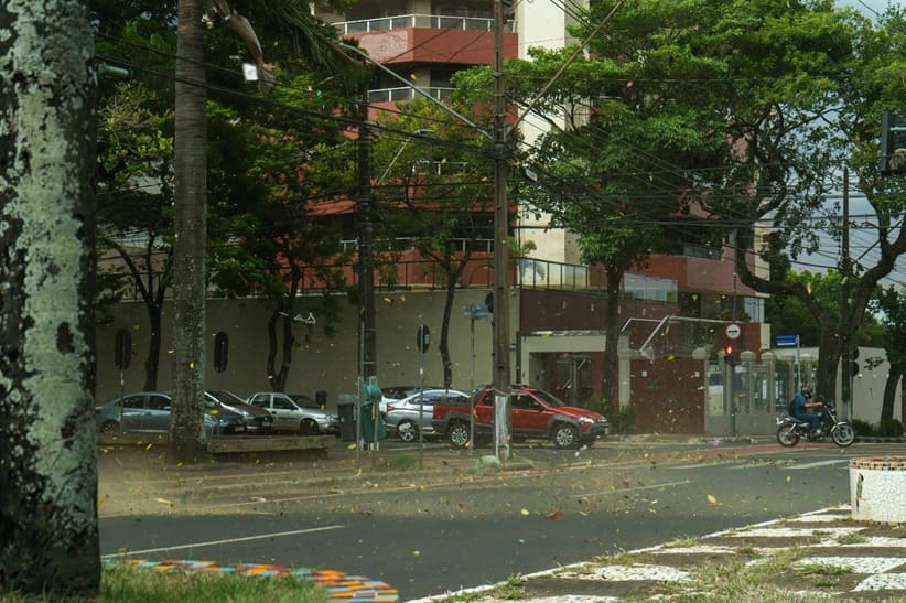 Fotógrafo do H2FOZ flagrou ventania na Avenida Jorge Schimmelpfeng em Foz do Iguaçu