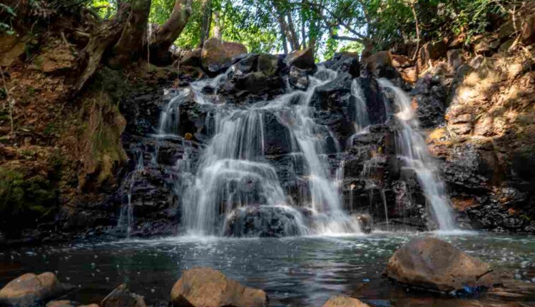 Descubra e proteja a cachoeira urbana na região do Morumbi