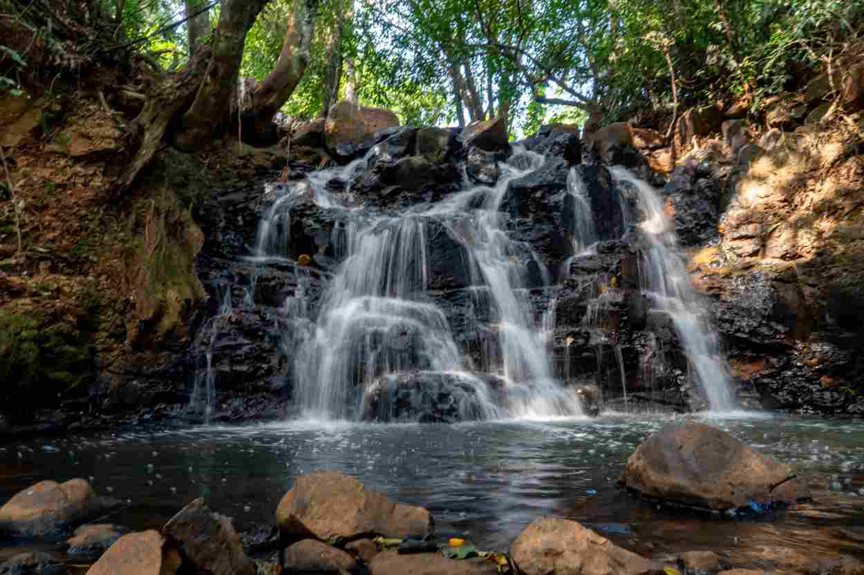 Descubra e proteja a cachoeira urbana na região do Morumbi